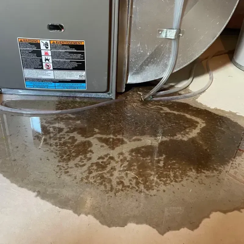 Appliance Leak Cleanup in Ellis County, OK